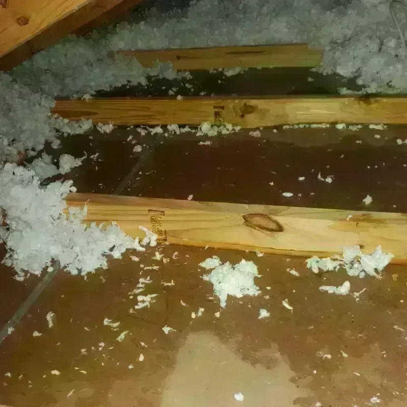 Attic Water Damage in Neenah, WI